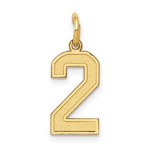 14k Yellow Gold, Jersey Collection, Small Number 2 Pendant